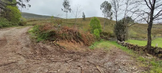 FINCA RÚSTICA CON CABAÑA Y VISTAS PANORÁMICAS EN LUENA.- — 14
