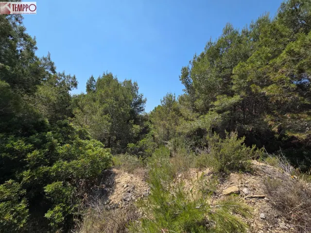 Oportunidad única en Valldemar — 6