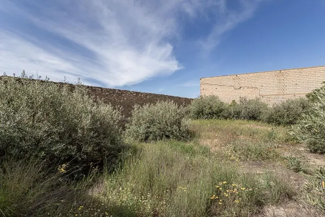 ESTUPENDO SOLAR URBANO CON NAVE EN PEDRO MARTÍNEZ — 17