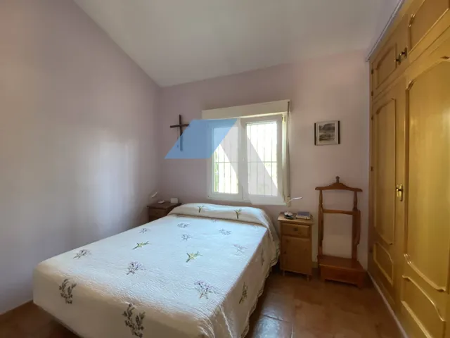 Chalet independiente con piscina en gran parcela rústica, rodeado de pinos y olivos – A menos de 1 km del Polideportivo Municipal de San Vicente del Raspeig — 21