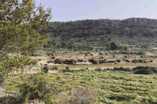 Parcela en Venta en Romana, La Alicante - foto 2