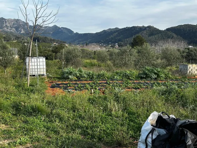 Se vende terreno rustico de 2441m2 todo vallado con movil ho - foto 3