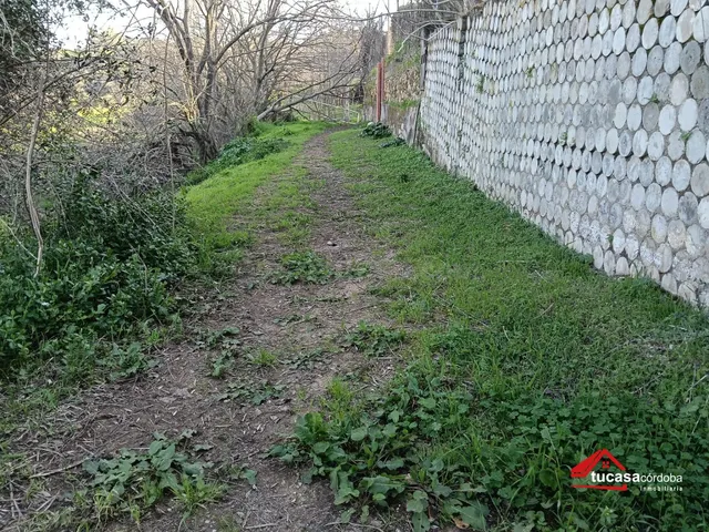 DESCUBRE LA JOYA DE LA PALOMERA - foto 5