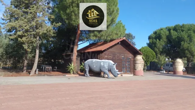 FINCA EN LINARES - foto 2