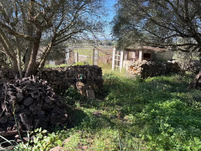 Finca rústica de 25.574 m2 con proyecto de vivienda y piscin - foto 5