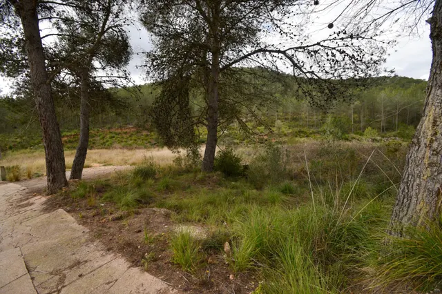 TERRENO URBANO PLANO EN MAS MESTRES — 11
