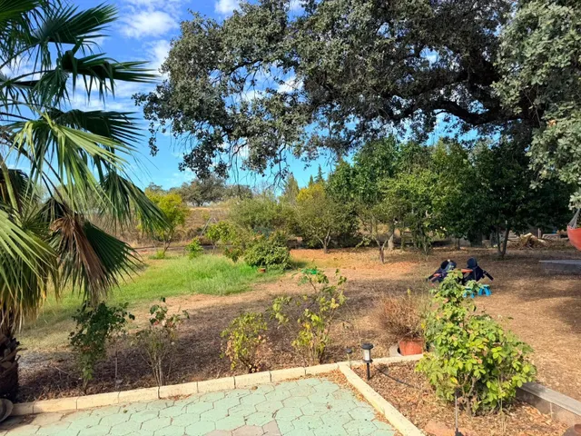 Casa de campo con piscina y gran parcela en Castilblanco de los Arroyos — 18