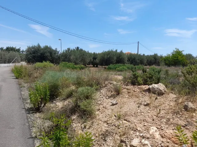 Luminoso cortijo con terrenos urbanizables - foto 4