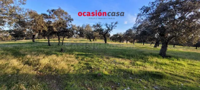 ENCINAR CON NAVE EN VENTA - foto 4