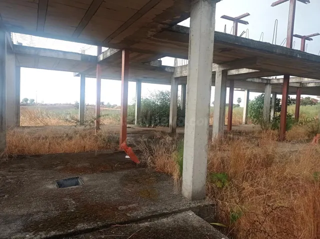 Solar en Las Pajanosas (Guillena), junto a la A-66 y a 20 mi - foto 3