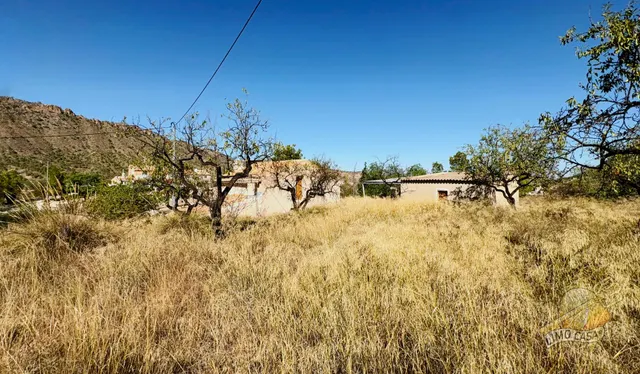 Auténtica casa para renovar en Ricote — 15