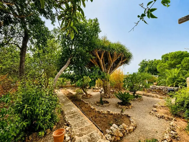 Finca mallorquina con más de 6.000 m² en Pòrtol — 14