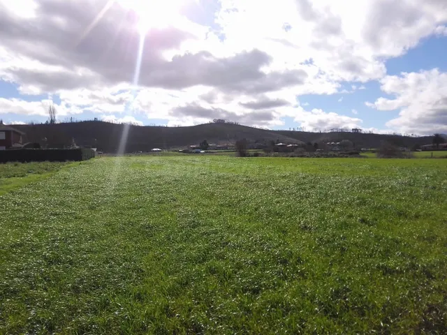 Venta de finca en OTUR  ( VALDÉS) — 8