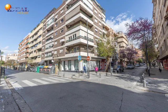 Amplio local comercial en una de las zonas más consolidadas de Granada con salida a dos calles — 30