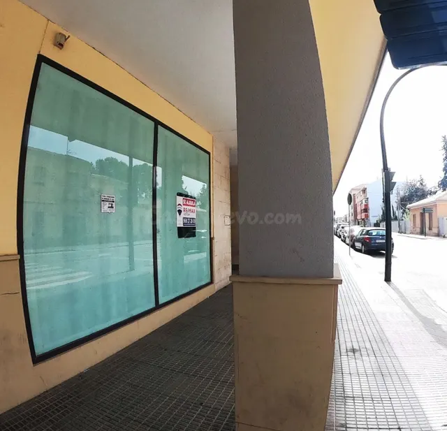 LOCAL COMERCIAL EN CABEZO DE TORRES - foto 5