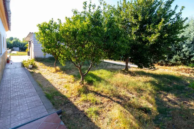 PARCELA CASA Y PISCINA EN DEHESILLA DE CALAMON - foto 5