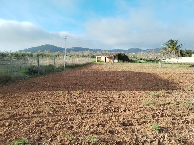 Solar urbano en Porreres - foto 4