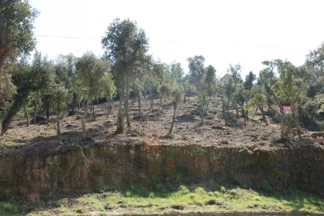 Parcela situada en Vall Repòs Santa Cristina d'Aro