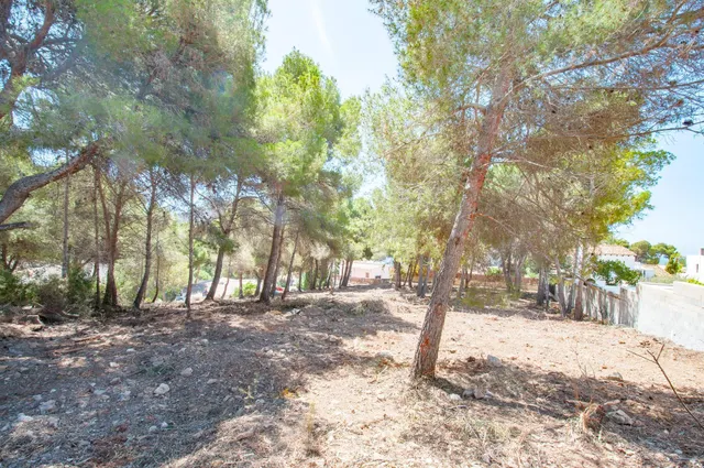 Parcela en venta - Pla del mar — 13