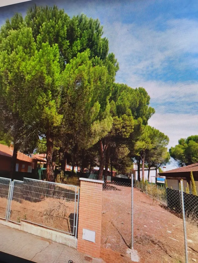 PARCELA CALLE CUBERA ALDEAMAYOR GOLF — 3
