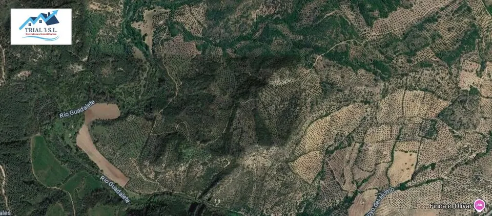 Venta Terreno en Algodonales - Cádiz