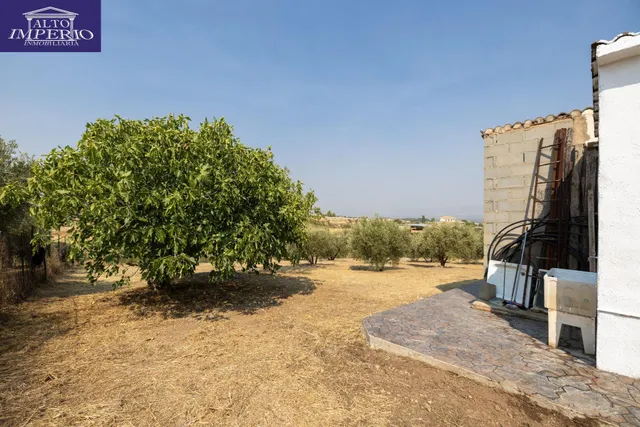 Encanto rústico con casita y olivos en Moraleja de Zafayona 🌿 — 23