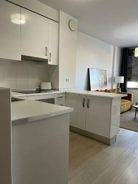 VENTA DE ESTUDIO-LOFT AMUEBLADO ESPINARDO - foto 5