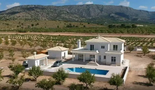 Villas de Obra Nueva en Pinoso en parcelas rústicas — 11