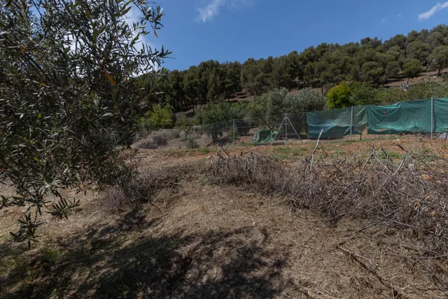 Parcela Urbanizable en Carretera de la Sierra — 9