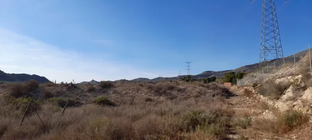 PARCELA 30.000 METROS DE TERRENO — 15