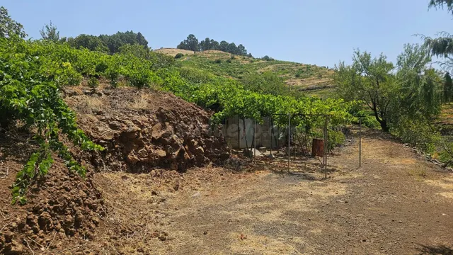 TINERCASA TIENE DISPONIBLE EN PUNTA GORDA, MAGNÍFICA FINCA R - foto 4