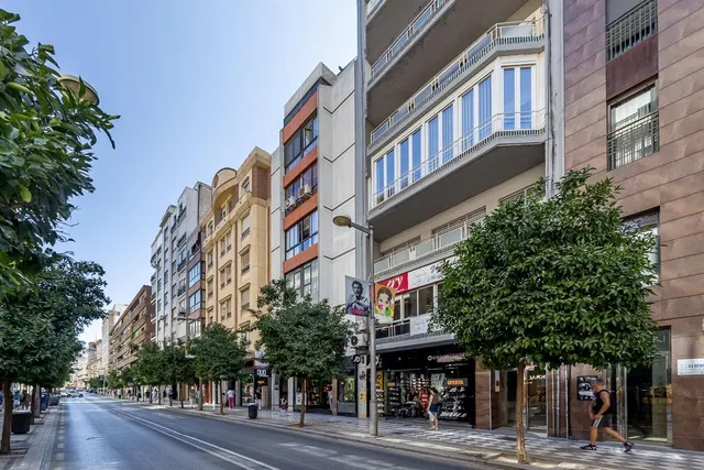 GRAN PISO EN CALLE RECOGIDAS — 39