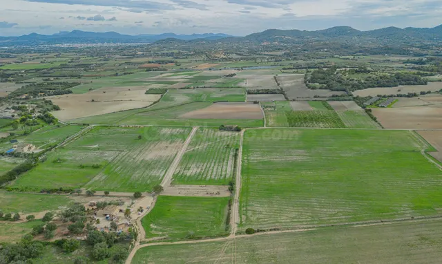 Gran terreno edificable en las afueras de Manacor - foto 2