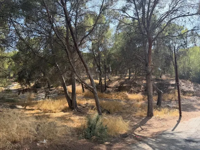 Amplia Parcela en La Alberca, Murcia - Oportunidad Única por - foto 5