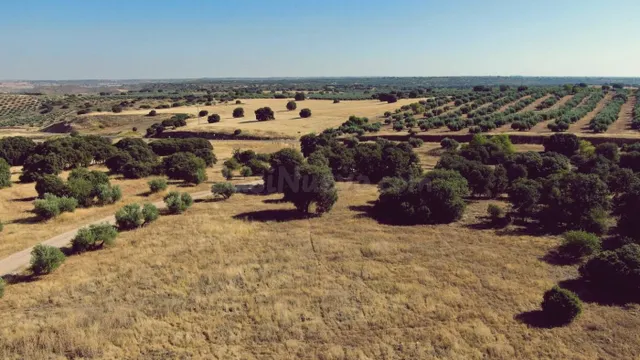 Venta de finca agropecuaria en la provincia de Ciudad Real - foto 3