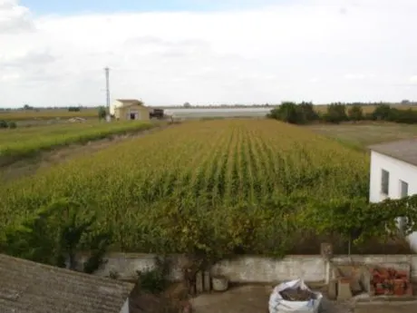 SE VENDE CASA CON GRAN PARCELA EN FRESNO DE LA VEGA. — 8