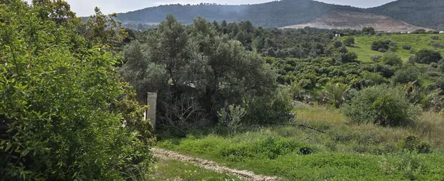 Parcela en venta - South of spain — 17