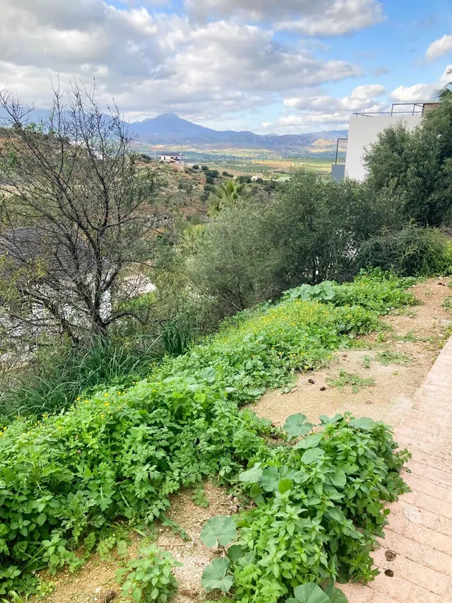 Parcela en venta - South of spain — 7