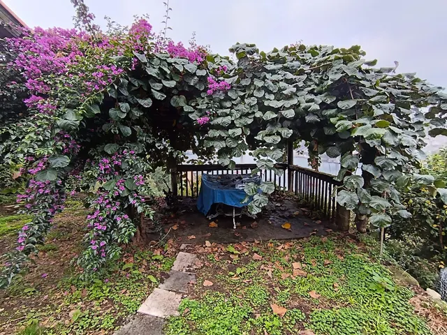 ¡INCREIBLE OPORTUNIDAD! Casa o Chalet en venta en Redondela — 36
