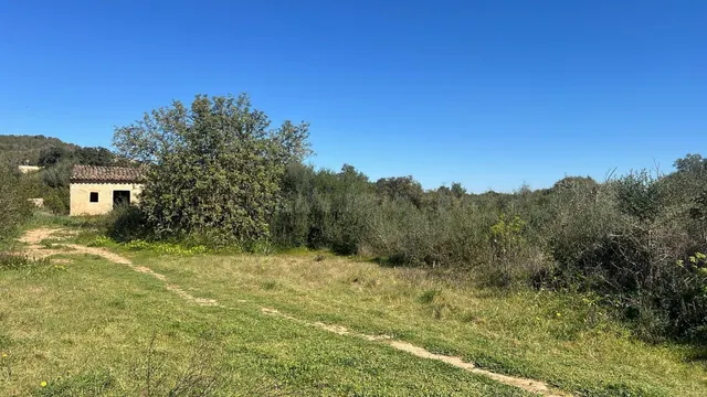 Se vende finca rústica con caseta en Marratxí