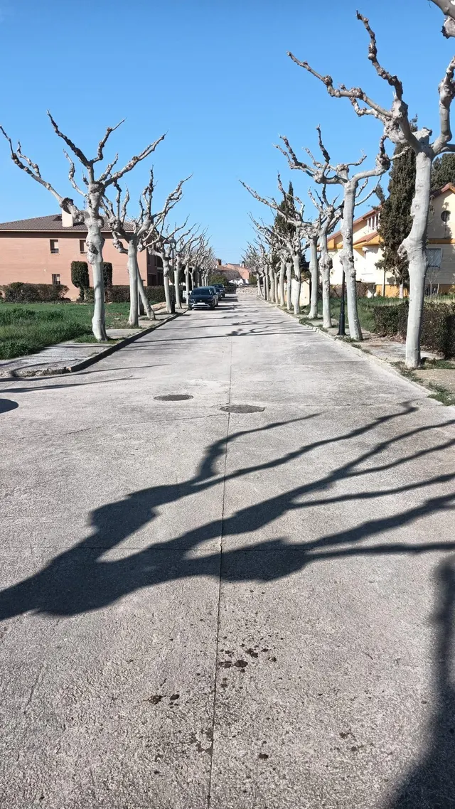 Parcela urbana a 15 km de Huesca - foto 2