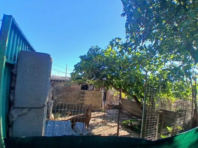 Casa con piscina y jardín. — 9