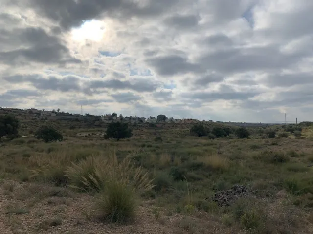 Parcela con terreno rústico de 37.000m2 en zona Bonavista — 2