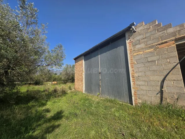 Finca rústica con granja, almacenes y casita de piedra en Pa - foto 5