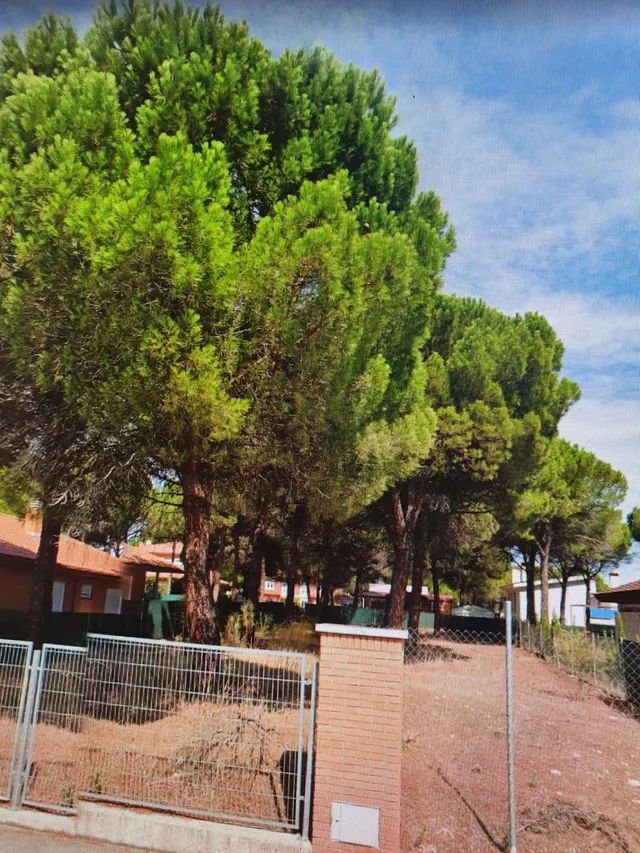 PARCELA CALLE CUBERA ALDEAMAYOR GOLF — 2