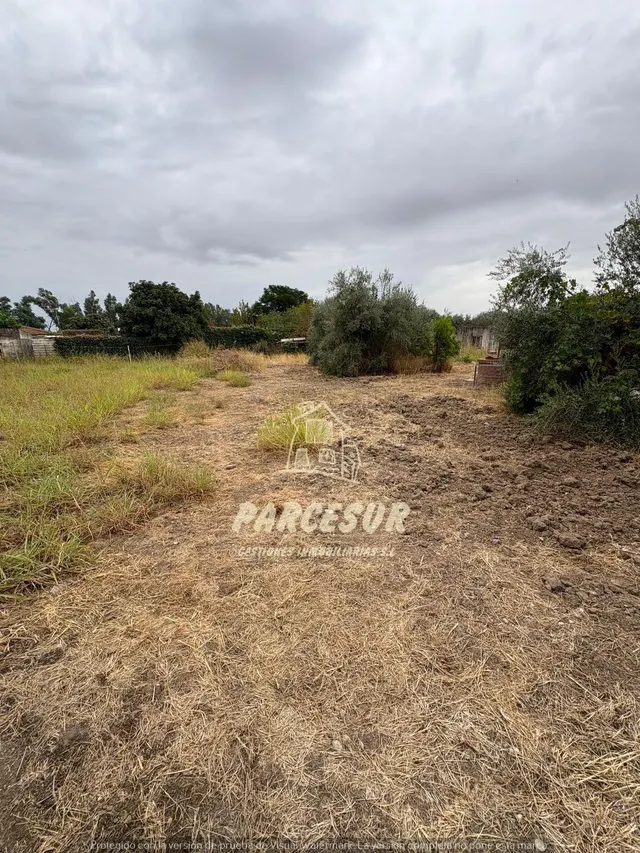 Encantadora Casa de Campo en Crta. Aeropuerto, Córdoba por solo €80,000 — 24