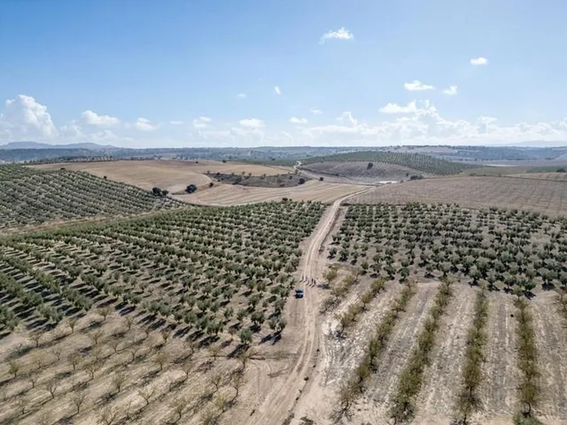 IMPRESIONANTE OPORTUNIDAD DE INVERSIÓN EN ALAMEDILLA!! — 21
