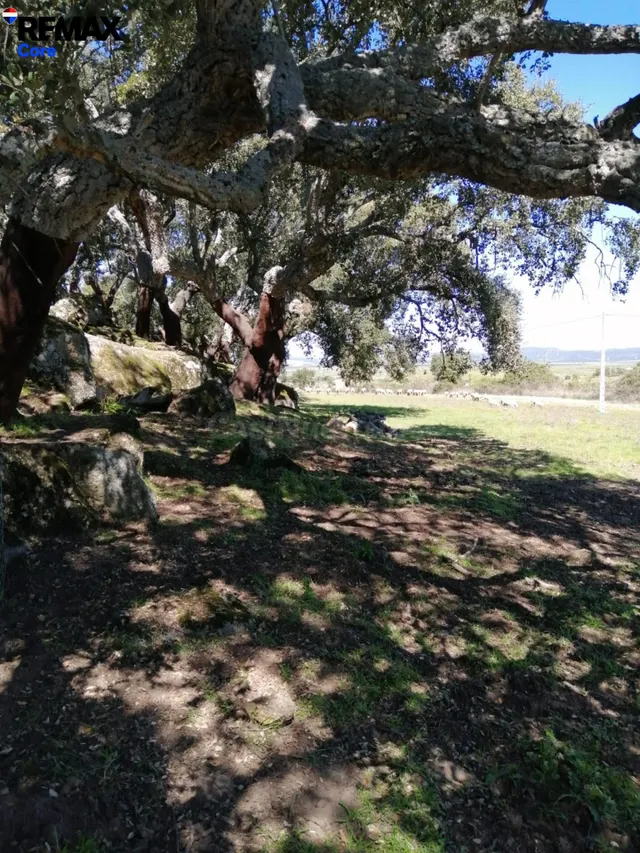 Encantadora Casa de Campo en San Vicente de Alcántara - foto 3