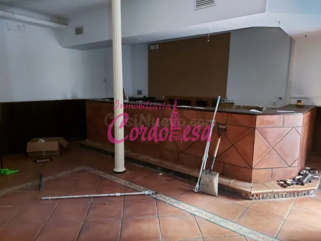 CASA INDEPENDIENTE CON LOCAL COMERCIAL EN PLANTA BAJA