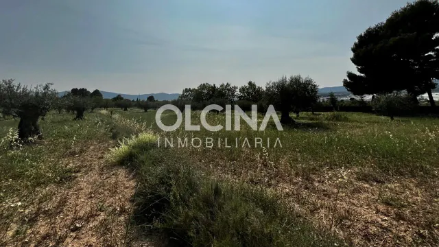 Terreno rural en venta - Els Plans — 9